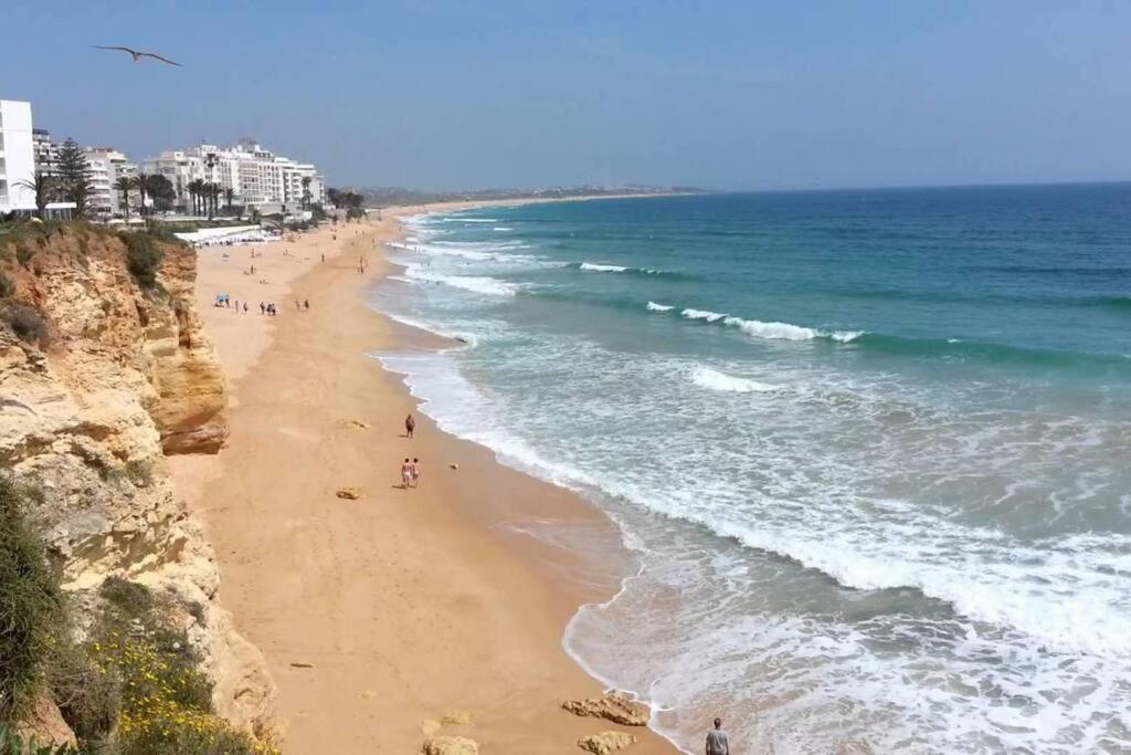 Mar Salgado Apartment Armação de Pêra Eksteriør billede